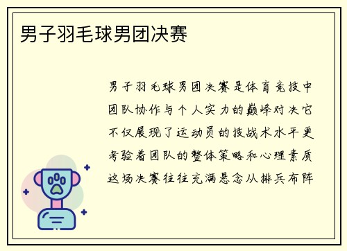 男子羽毛球男团决赛
