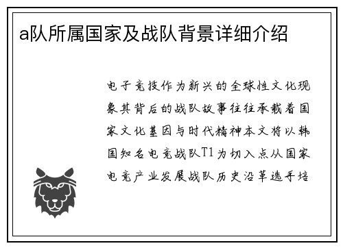 a队所属国家及战队背景详细介绍