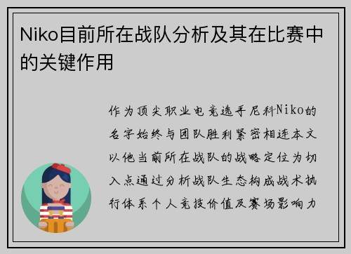 Niko目前所在战队分析及其在比赛中的关键作用