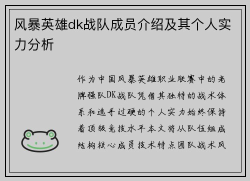 风暴英雄dk战队成员介绍及其个人实力分析